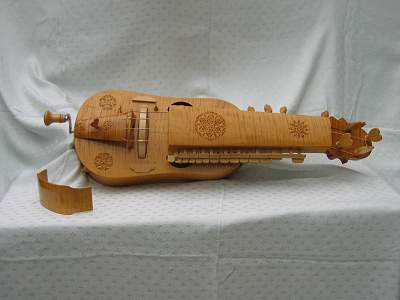 top_view